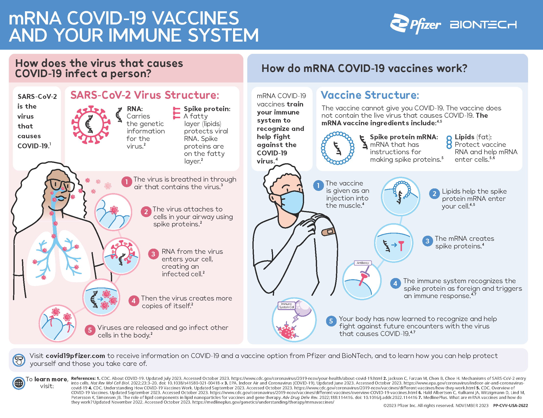 mRNA COVID-19 vaccine infographic