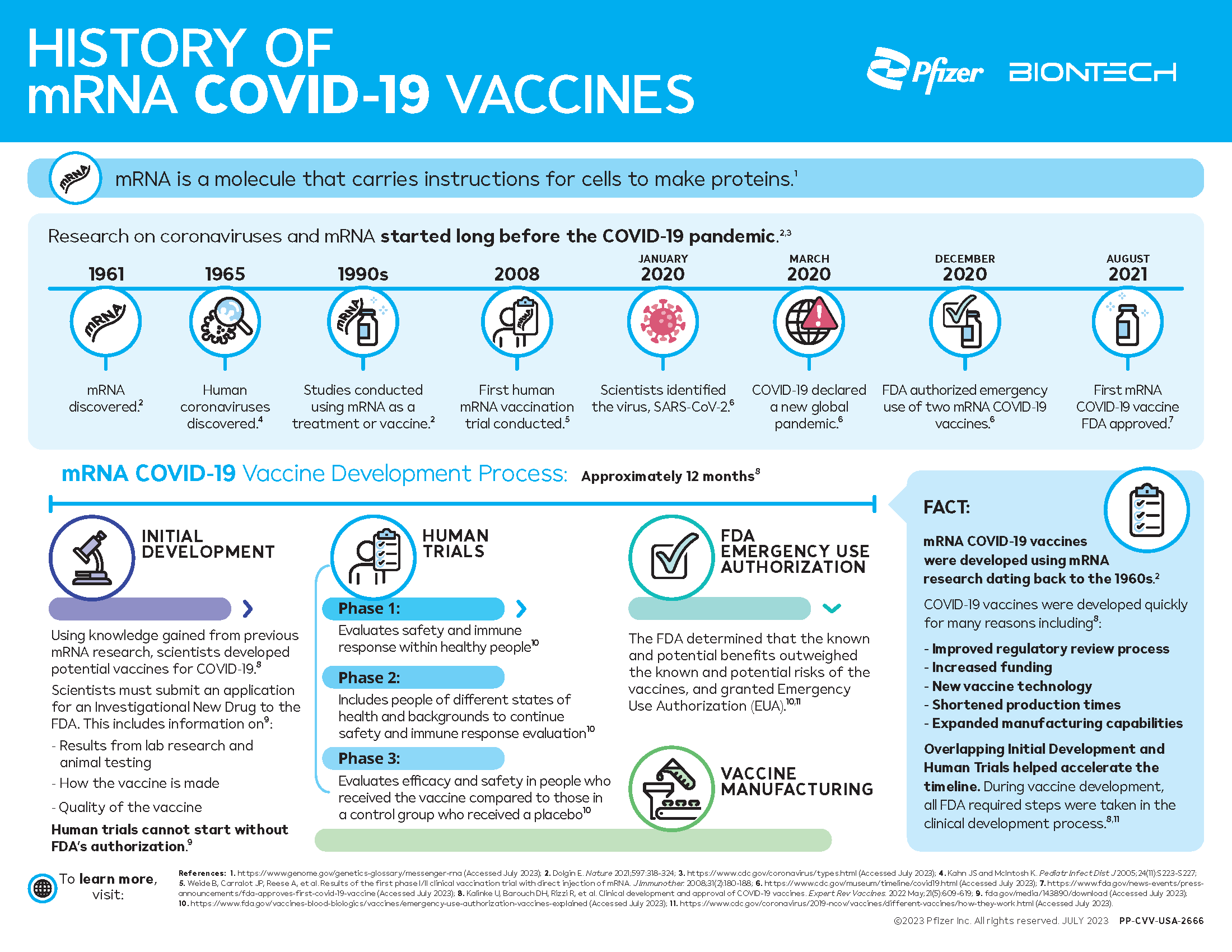 mRNA vaccine development infographic