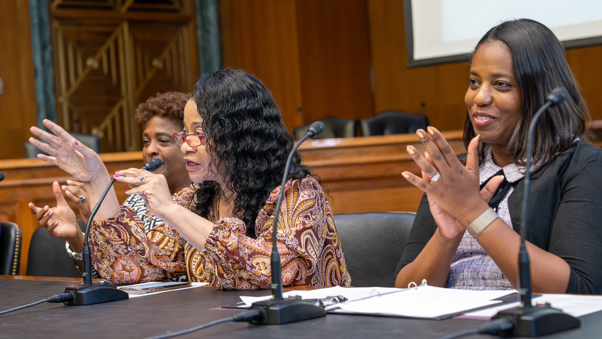 Rev. Dr. Que English and Pamela Barnes on the panel